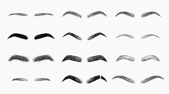 Eyebrow shape illustration icon vector collection featuring natural, thick, thin, curved, arched, and straight brow styles for beauty, makeup, and cosmetic design references.