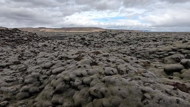 Wide shot of Eldhraun lava field covered in woolly fringe moss Racomitrium lanuginosum, South Iceland
