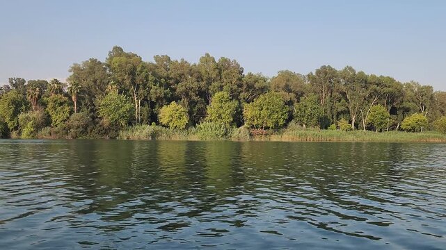 Scenic view of the Seyhan River flowing through central Adana, Turkey, framed by dense eucalyptus trees and common reeds in the lush Eski Baraj greenbelt.