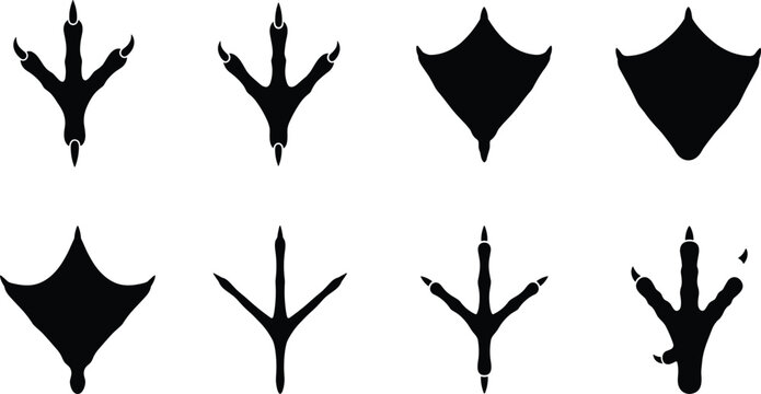 Bird footprint silhouette icon set featuring diverse track shapes and species variations