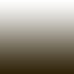 Smooth white to dark brown gradient background texture © ShakirMd