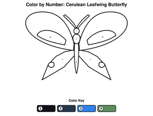Naklejka premium Cerulean Leafwing Butterfly Color by Number Worksheet for Kids, Printable Tropical Butterfly Coloring Activity, Educational Vector SVG