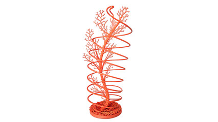Natural red sea coral branch marine ocean reef wildlife decoration element isolated on transparent background © novikova-png