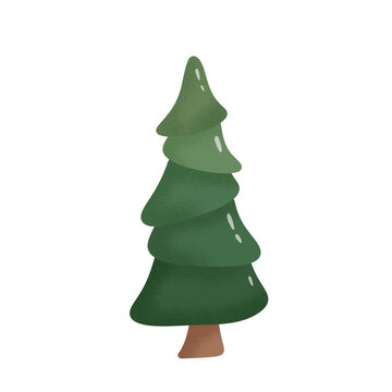Tall dark green pine tree illustration with curved branches isolated on transparent background