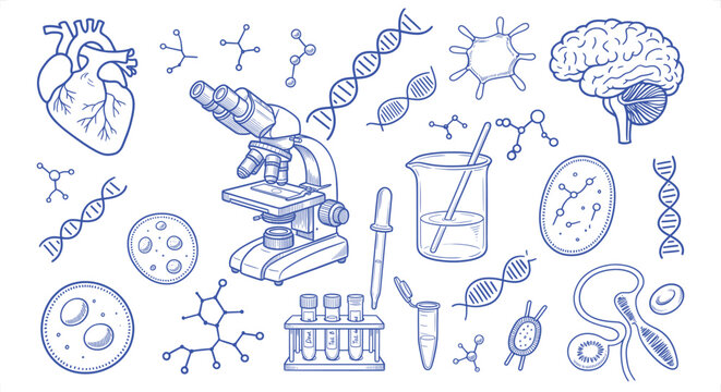 Science and medical research elements including DNA microscope brain and heart in blue ink sketch style