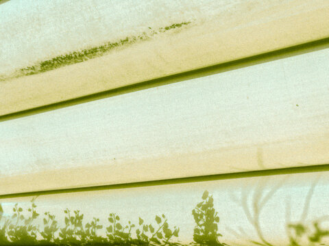 grunge background with flowers
