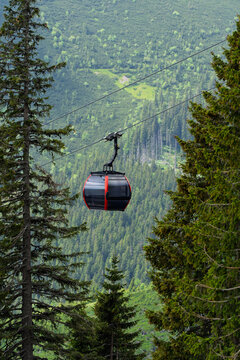 Cable car gondola with red trim traveling between pine trees above green forested mountain valley, alpine transport and resort infrastructure concept.