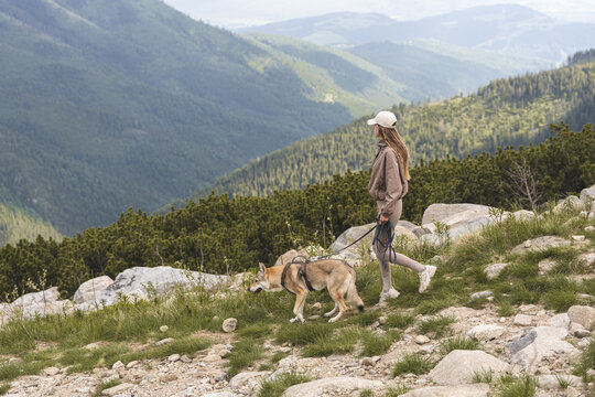 Young woman walking dog on leash along rocky mountain hillside with scenic forested valley backdrop, outdoor hiking with pet concept.