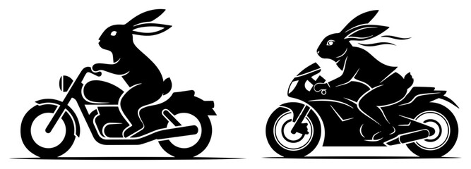 Rabbit riding classic cruiser motorcycle and sport bike in funny vector style © Camel