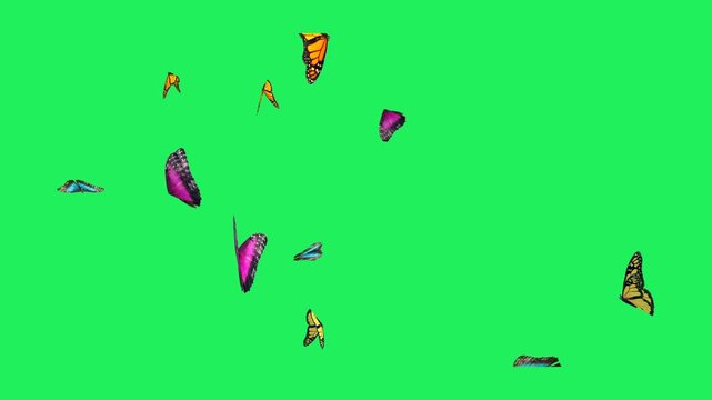 Animation swarm of purple butterflies against a green background.