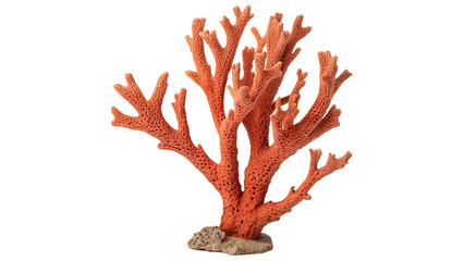 Red coral branch mineral specimen isolated on transparent background for marine design © novelli-png