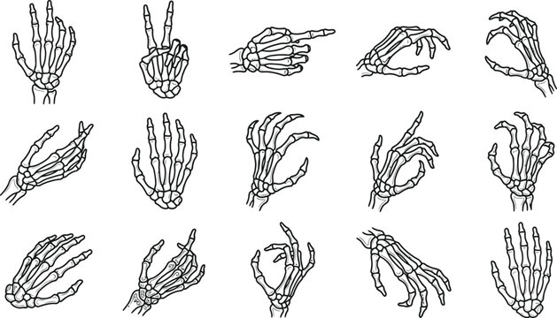 Spooky halloween vector bundle diverse skeleton hand poses for creepy designs october celebrations