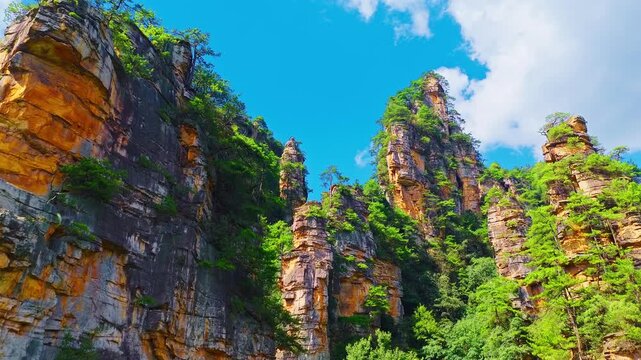 Towering quartz sandstone pillars covered in green vegetation in Zhangjiajie National Forest Park, Hunan Province, China.