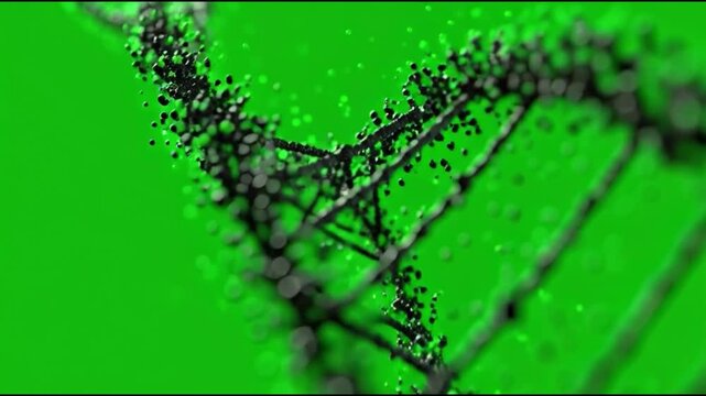Rotating DNA Double Helix Animation on Green Screen Background