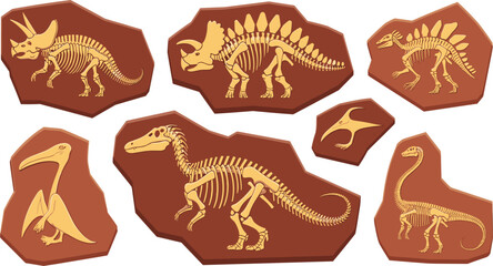 Dinosaur fossil skeleton vector illustration set, ancient prehistoric animal bone archeology design elements isolated background © kaiyum