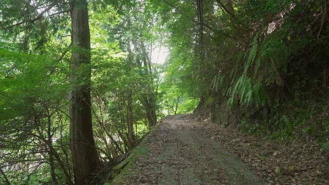 Fudo-zaka Slope on Kyo-Osaka-michi, UNESCO World Heritage Koyasan Pilgrimage Route, Wakayama, Japan　世界遺産・高野参詣道 京大坂道「不動坂」和歌山県高野町