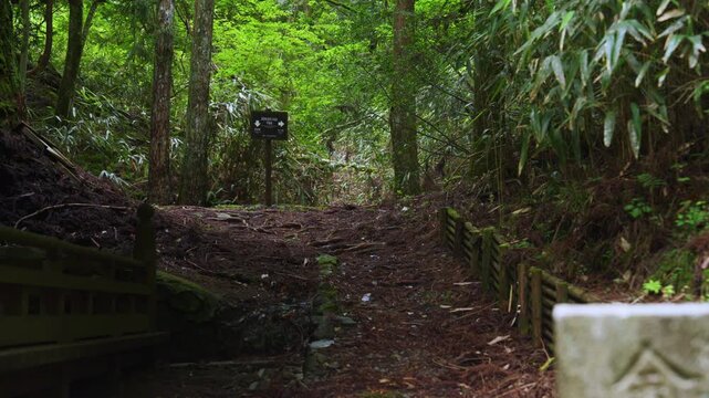 Fudo-zaka Slope on Kyo-Osaka-michi, UNESCO World Heritage Koyasan Pilgrimage Route, Wakayama, Japan　世界遺産・高野参詣道 京大坂道「不動坂」和歌山県高野町