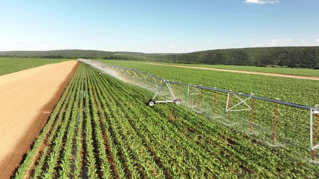 Extensive center pivot irrigation system spraying water across a lush green crop field under bright daylight, demonstrating modern agricultural watering, crop management, sustainable farming practices