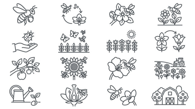 Gardening and bee pollination lifecycle line icons.