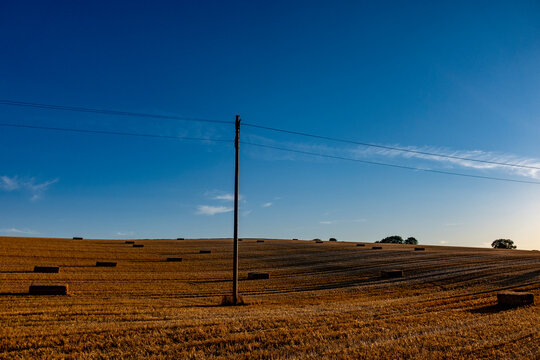 Strommasten im Feld