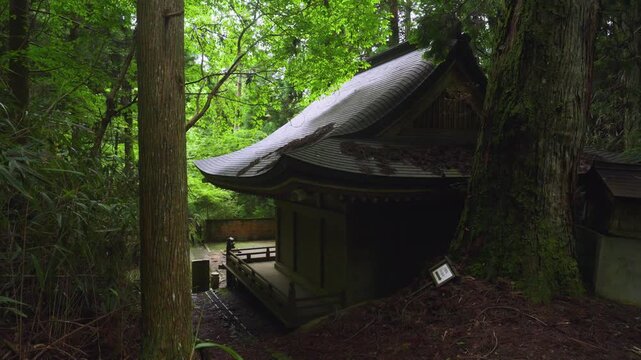 Fudo-zaka Slope on Kyo-Osaka-michi, UNESCO World Heritage Koyasan Pilgrimage Route, Wakayama, Japan　世界遺産・高野参詣道 京大坂道「不動坂」和歌山県高野町