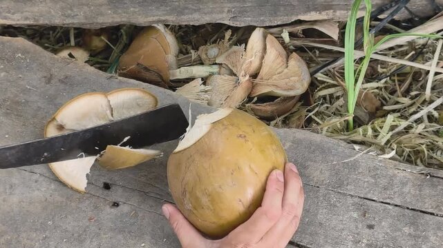 Close-up of a street vendor chopping a fresh coconut with a machete in the Mekong Delta, Vietnam