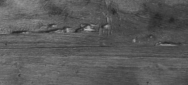 Light monochrome wood grain texture with organic lines and authentic timber surface, black and white rustic background suitable for minimalist and vintage design.