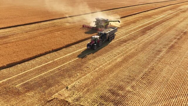 Aerial view of a combine harvester unloading grain into a tractor trailer while cutting golden wheat across expansive fields
