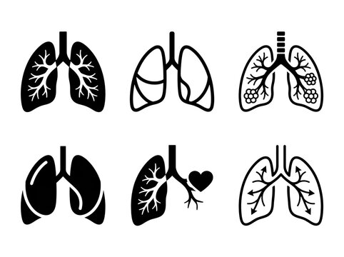 Set of black and white human respiratory system anatomy icons featuring detailed lungs and chest rib cage structures isolated for medical educational purposes in a flat style on transparent background