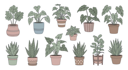 Collection of Potted Houseplants in Decorative Pots. © DOG2