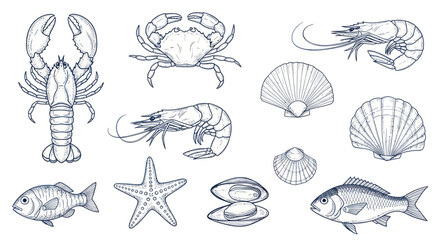 Collection of Seafood Illustrations Including Lobster Crab Shrimp Fish Shellfish. © DOG2