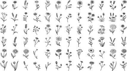 Hand drawn floral doodle icon bundle with botanical wildflower elements field herbs and rustic wedding branch silhouettes vector © MD