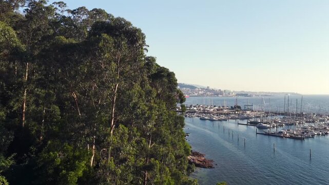 Aerial View of the Real Club N&aacute;utico Marina Slips and Floating Pontoons in the R&iacute;a de Vigo Estuary