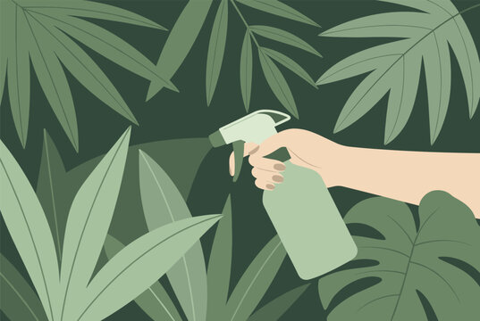 Caring for indoor plants showing a hand using a spray bottle to mist lush green tropical leaves in a serene botanical setting for home gardeners.