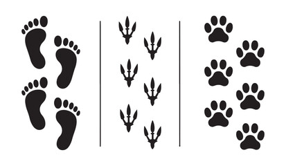 Animal and human foot print trail icons showing walking tracks for biological research set. © Ripon