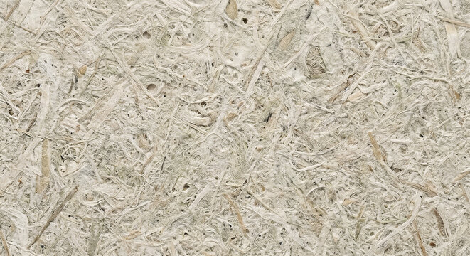 Recycled Fibrous Bio Plastic and Mycelium Composite Texture