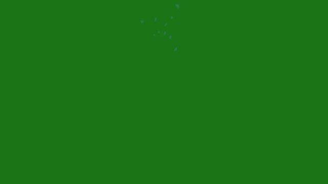 soap bubble green screen footage, perfect for templates, editing, creator content, etc.