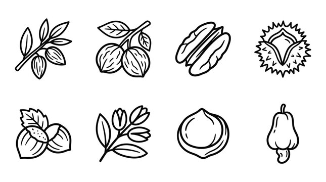 Nut and Seed Icons: Almonds, Pecans, Walnuts, Hazelnuts, Cashews, Chestnut