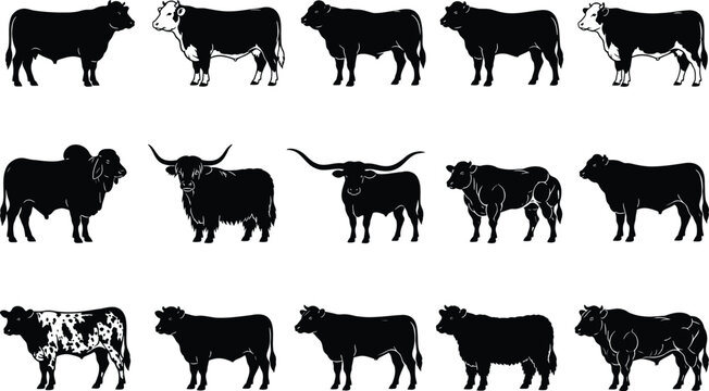 Black and white of a herd of running horses in various poses galloping