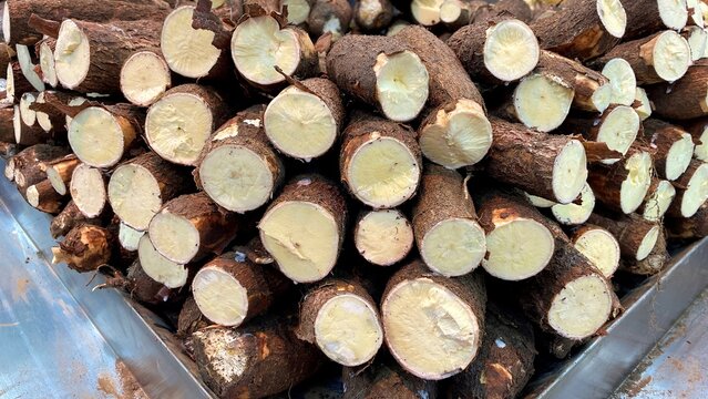 Raw cassava roots (aipim, in Portuguese) displayed on a shelf in a supermarket grocery section.