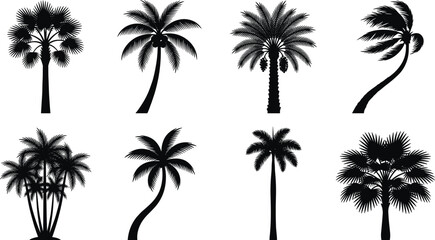 Fototapeta premium Tropical Palm Tree Silhouette Vector Collection with Diverse Trunk Shapes and Leaf Patterns for Design Use