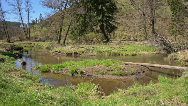 relaxing view on a flowing creek with nature sounds