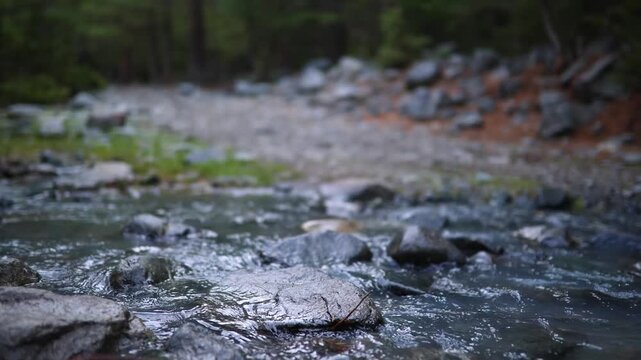 Water flows over rocks in a river near a forest area during the afternoon