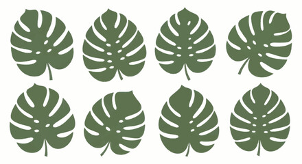 Monstera Leaves Collection Tropical Foliage Botanical Elements. © Truk