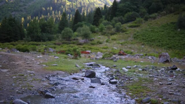 Exploring a rocky stream in a forested area in the mountains during the summer