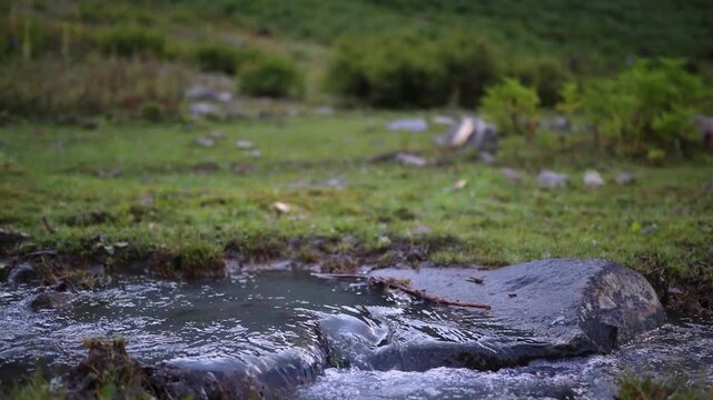 Water flows over rocks in a stream surrounded by green grass and hills in a natural setting during the late afternoon