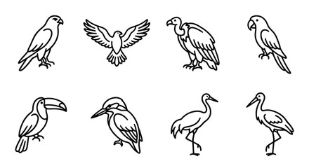 Obraz premium Diverse Bird Silhouettes Collection: Falcon, Eagle, Vulture, Parrot, Toucan, Kingfisher, Crane, Heron