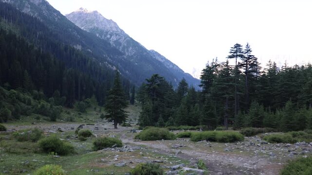 Exploring a mountain valley with trees and rocks in the morning light in a natural setting