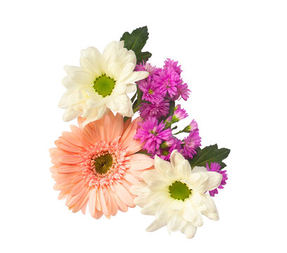 Corner Pink and White Daisy and Aster Flowers Arrangement Transparent Background