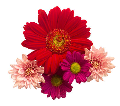 Red, Pink, and Magenta Flowers Arrangement Transparent Background for Wedding Decoration, Wedding Ornament, Wedding Invitation, Greeting Card and many more.